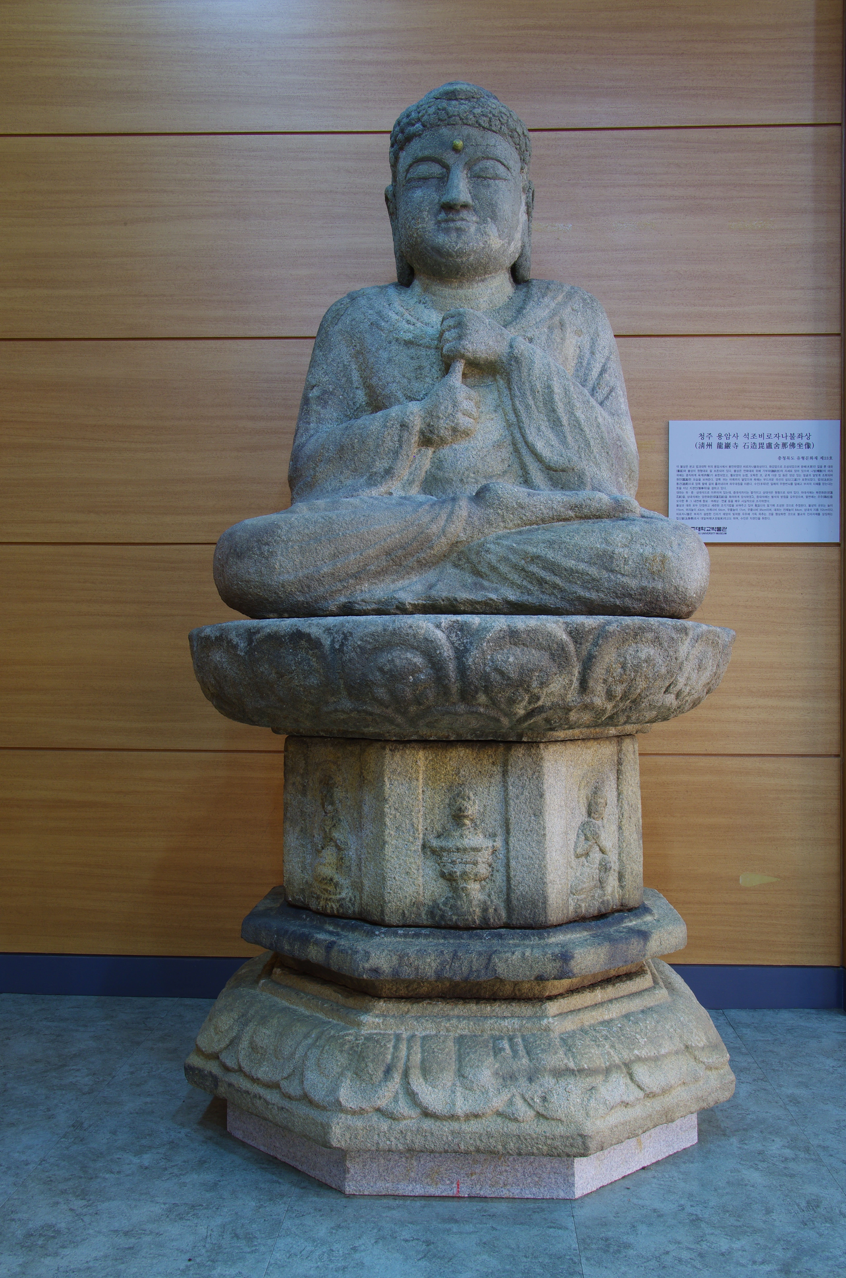 청주 용암사 석조비로자나불좌상 (淸州 龍岩寺 石造毘盧遮那佛坐像) 이미지